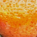 pudim de mel