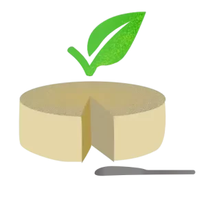 icon-categoria queijo vegan