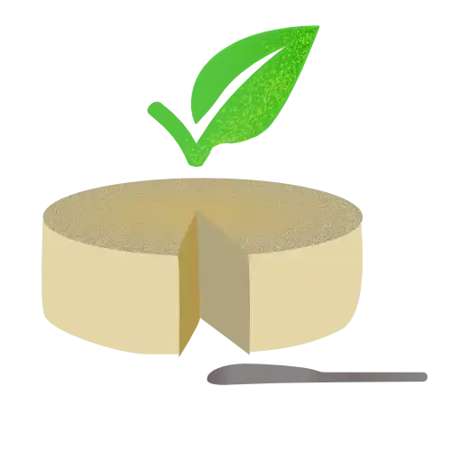 icon-categoria queijo vegan