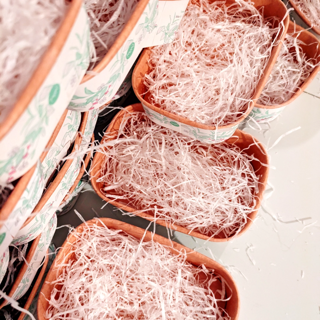 caixas antes docaria